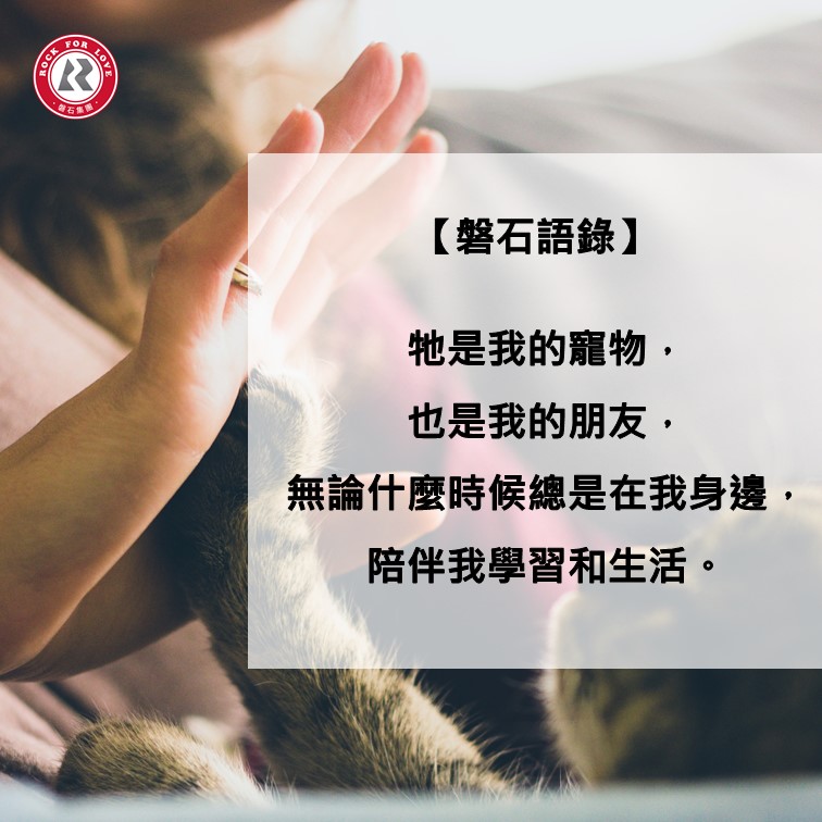 磐石語錄,寵物,朋友,家人